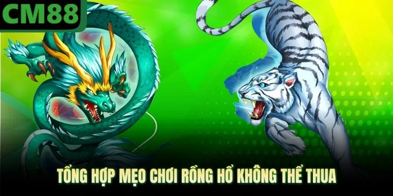 Tổng hợp mẹo chơi rồng hổ không thể thua